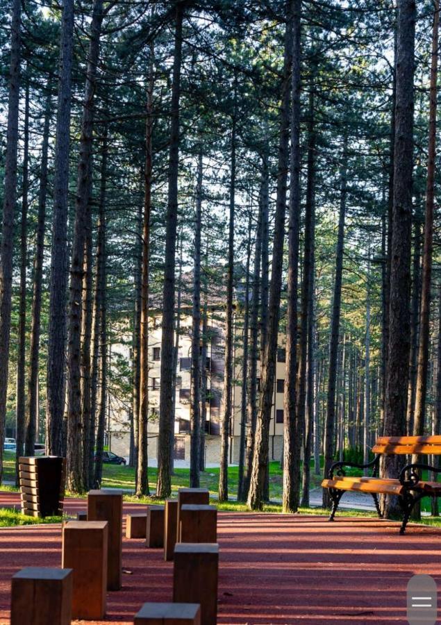 Apartman Pavle Zlatibor Esterno foto