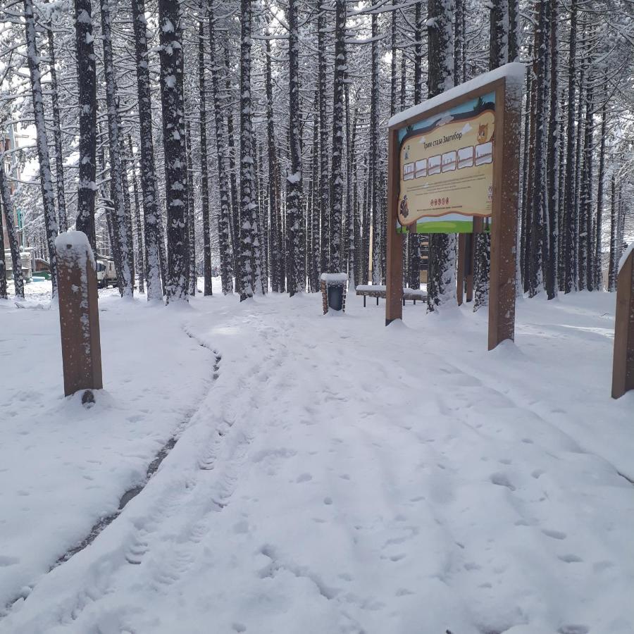 Apartman Pavle Zlatibor Esterno foto
