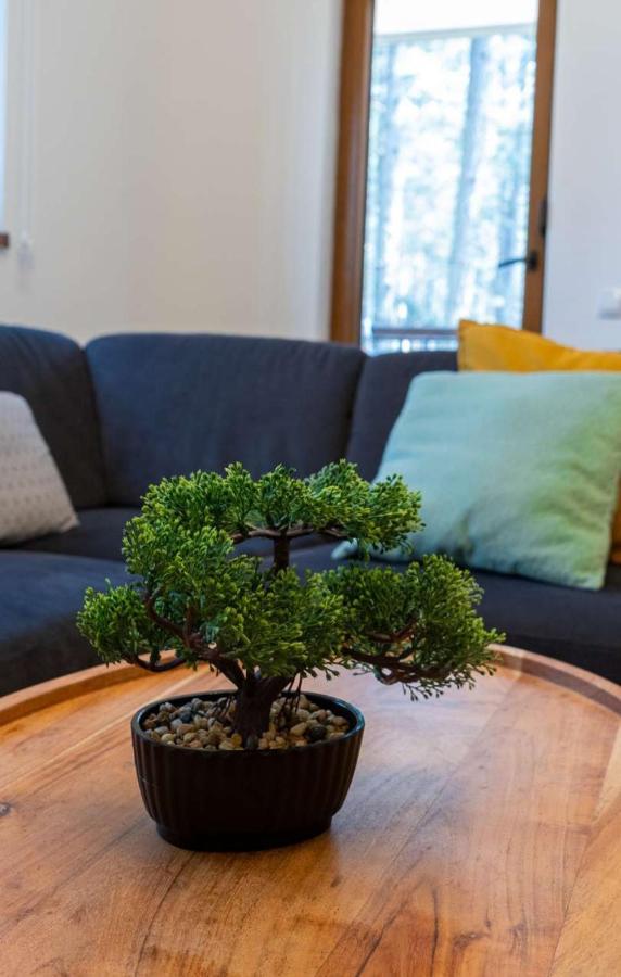 Apartman Pavle Zlatibor Esterno foto