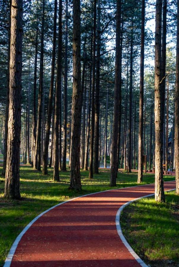 Apartman Pavle Zlatibor Esterno foto