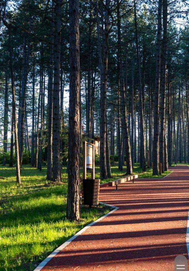 Apartman Pavle Zlatibor Esterno foto